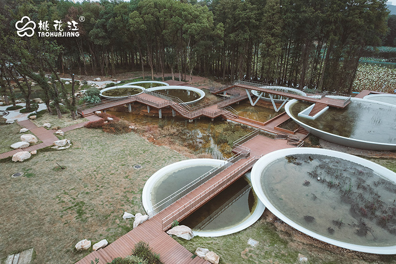 武汉东湖磨山荷园景区